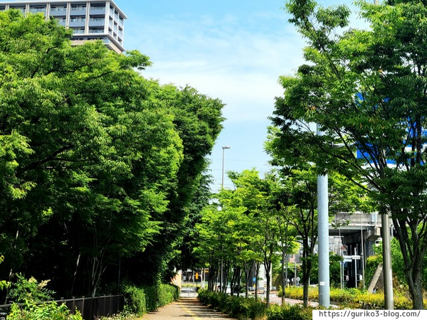 JR岐阜駅　清水緑地　写真