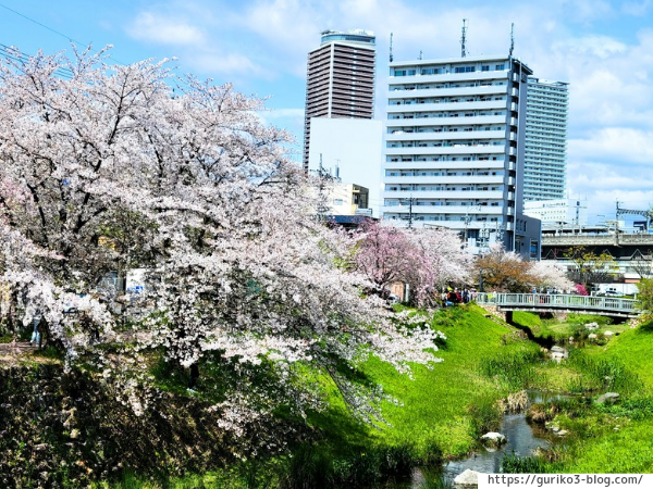 JR岐阜駅　清水緑地　写真