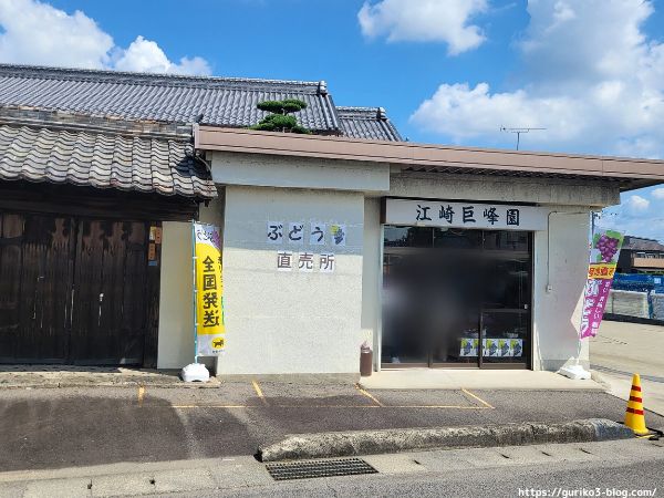 岐阜市　江崎ぶどう園