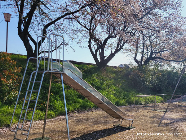 遊具広場　岐阜県安八郡神戸町 ・輪中堤の桜