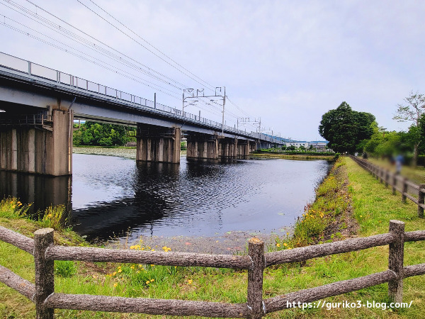 十九女池公園　東海道新幹線の橋
