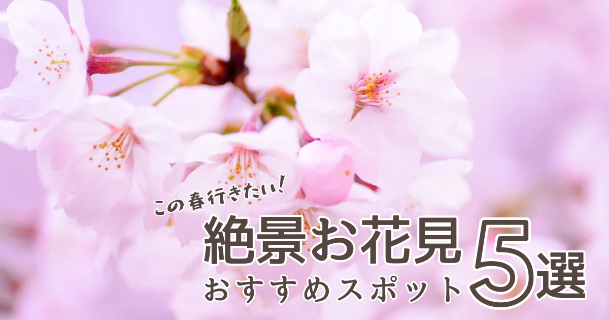 【2024年版】この春に行きたい！岐阜のおすすめ桜スポット
