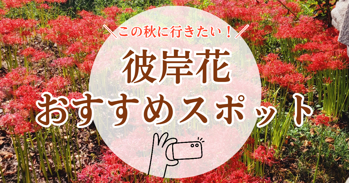 2025年最新☆岐阜の彼岸花おすすめ５選！見頃時期や各イベント情報を紹介