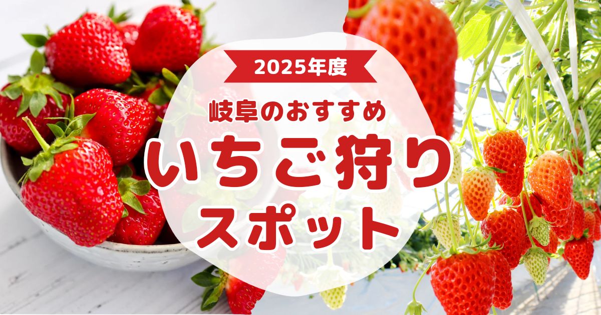 2025年 岐阜で楽しむ「いちご狩り＆カフェ巡り」！冬だけの贅沢体験・一日満喫できるおすすめスポット３選