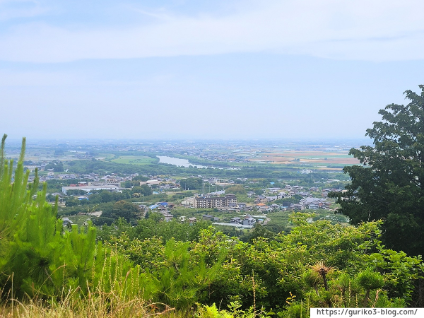 岐阜県海津市　月見の森　紫陽花