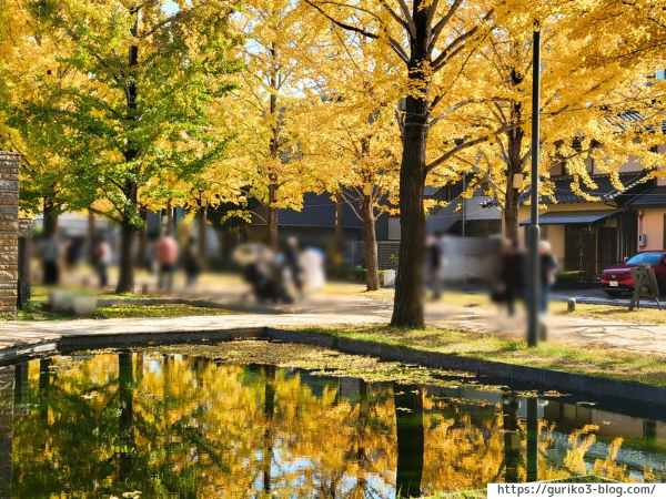 岐阜県各務原市　学びの森　イチョウ並木