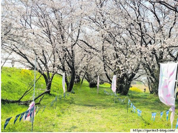 岐阜県　羽島市　桜堤サブセンター