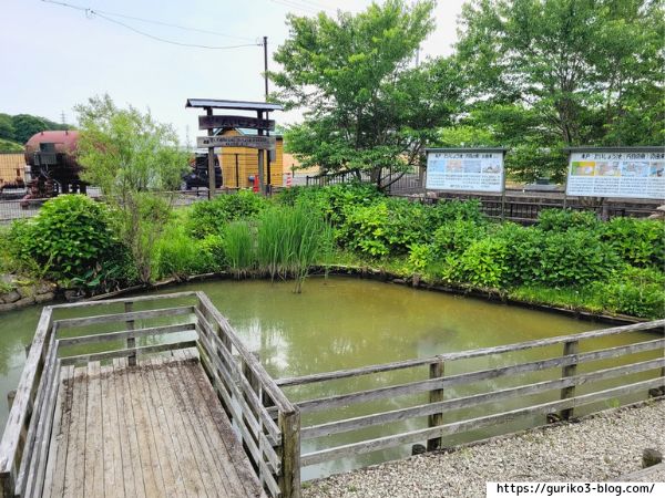 輪之内町 中将姫公園 たいしょう池