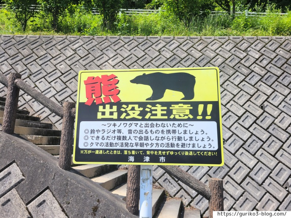 岐阜県海津市　月見の森　紫陽花
