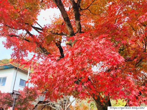 岐阜県 揖斐川町 谷汲山華厳寺