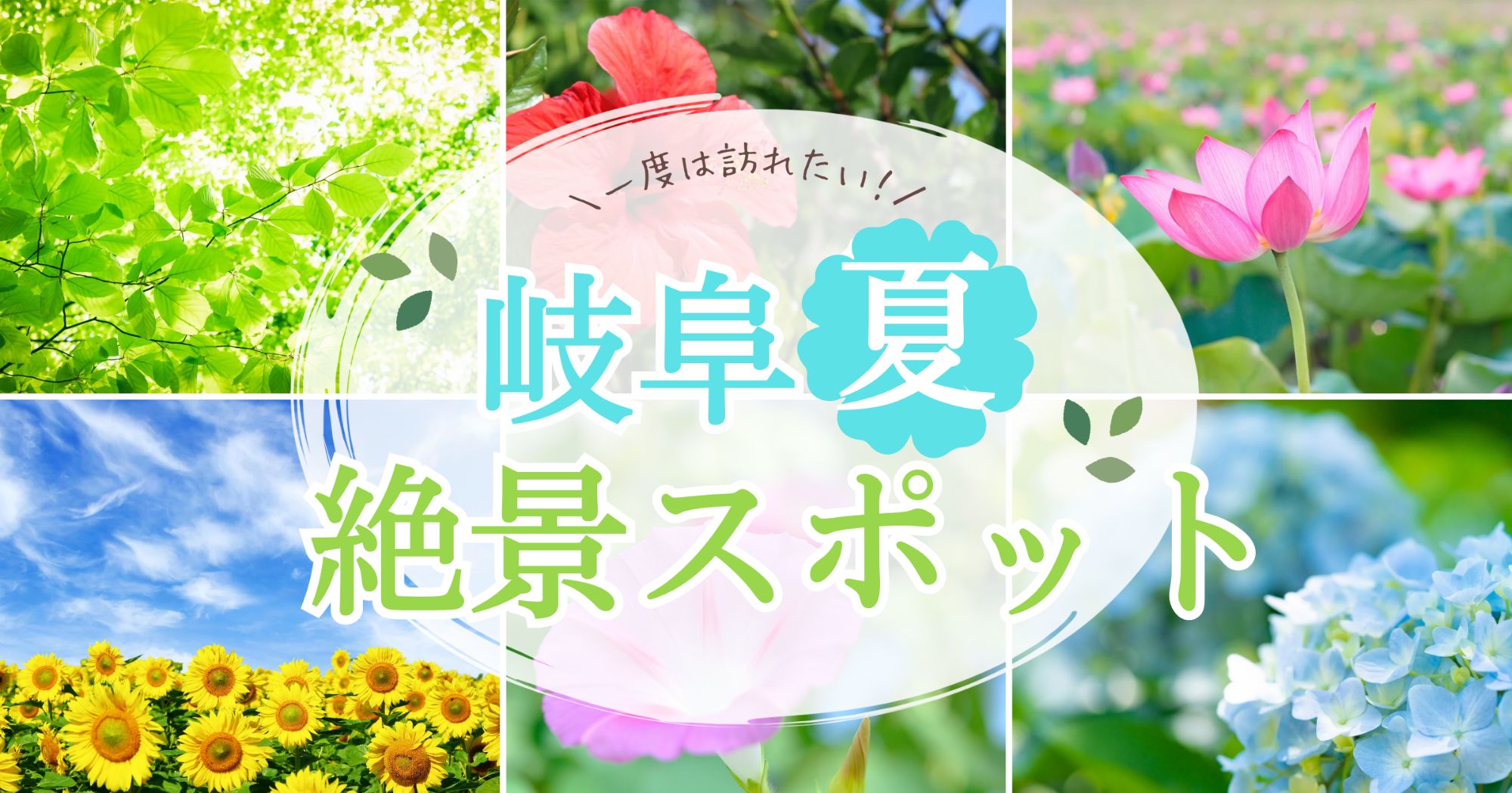 夏のお出かけにおすすめ！写真映えする岐阜の絶景スポット・花の名所特集！