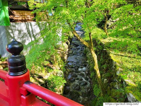 岐阜県揖斐川町　横蔵寺　紅葉