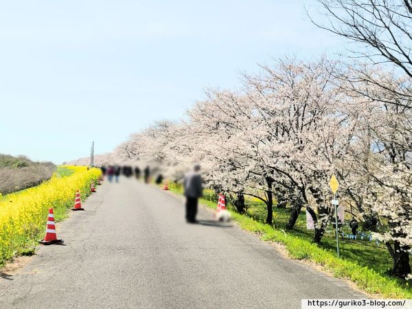 岐阜県　羽島市　桜堤サブセンター