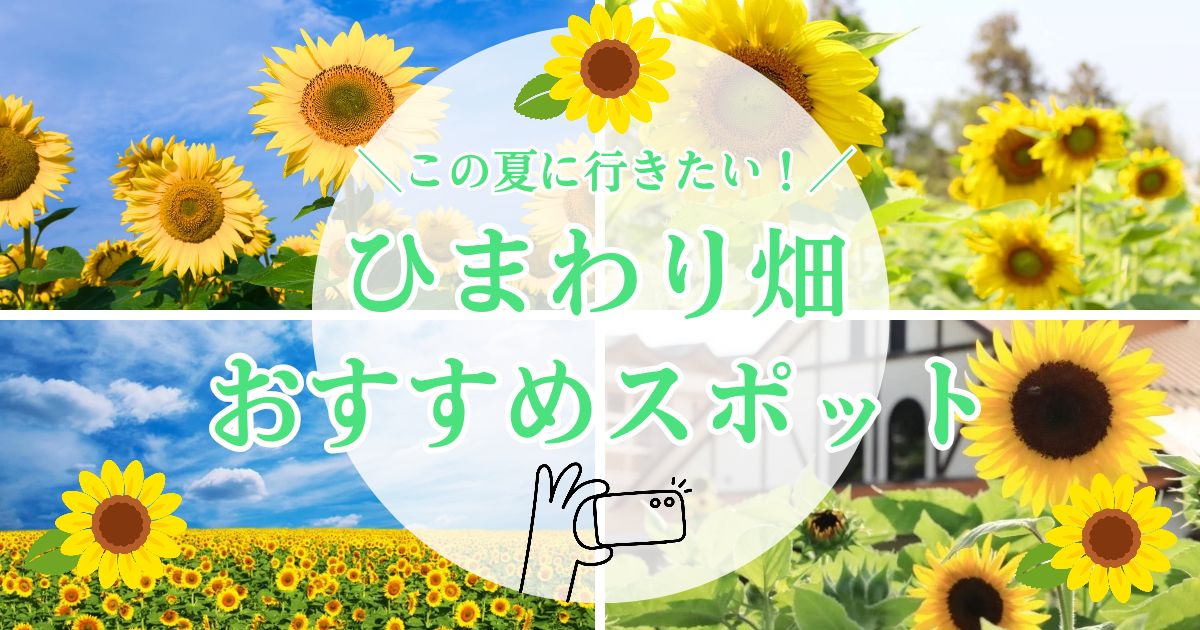 2025年最新☆岐阜のひまわり畑おすすめ４選！夏に行きたい絶景スポットを紹介
