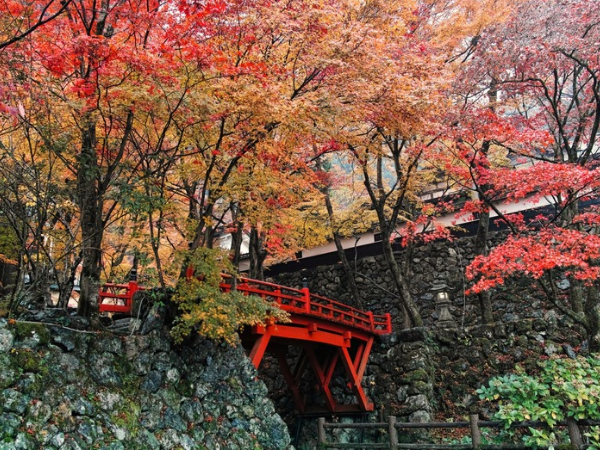 岐阜県揖斐川町　横蔵寺　紅葉