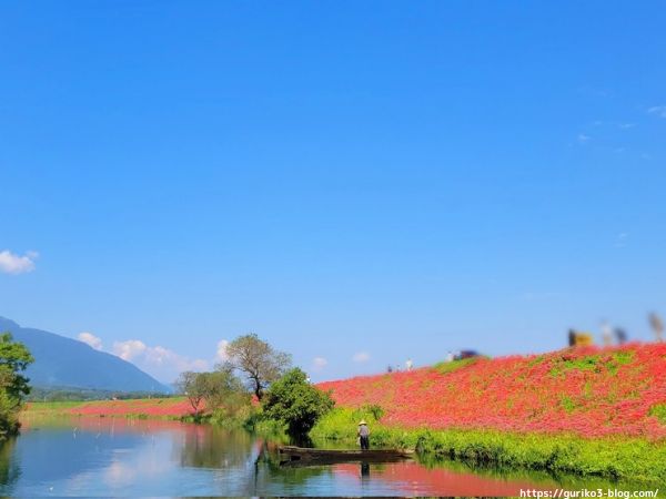 岐阜県海津市　津屋川堤防の彼岸花