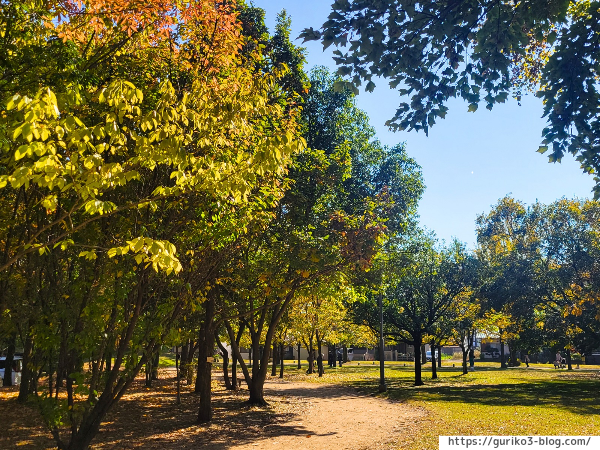 岐阜県各務原市　学びの森　紅葉
