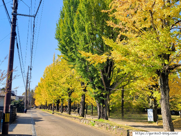 岐阜県各務原市　学びの森