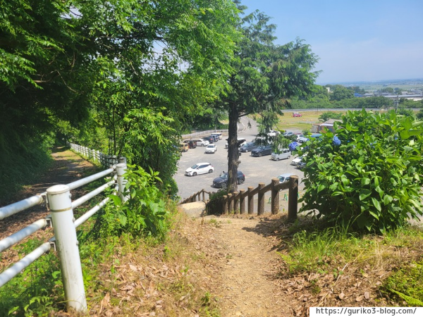 岐阜県海津市　月見の森　紫陽花