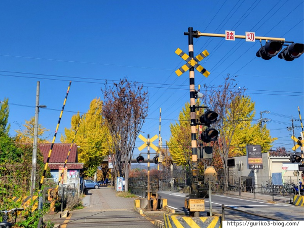 岐阜県各務原市　学びの森　イチョウ