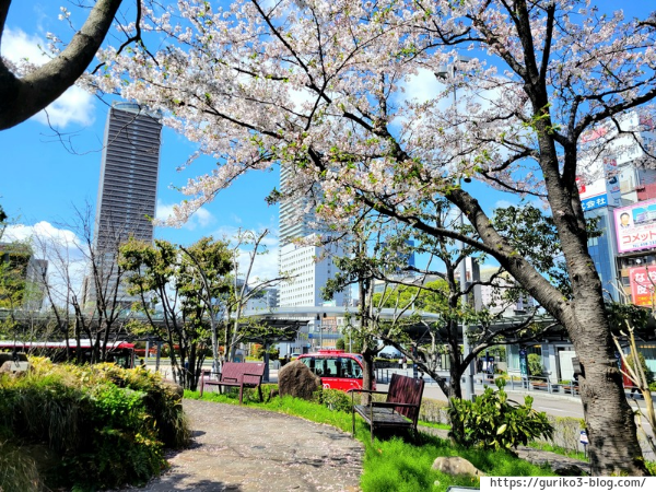 JR岐阜駅　やすらぎの里　写真