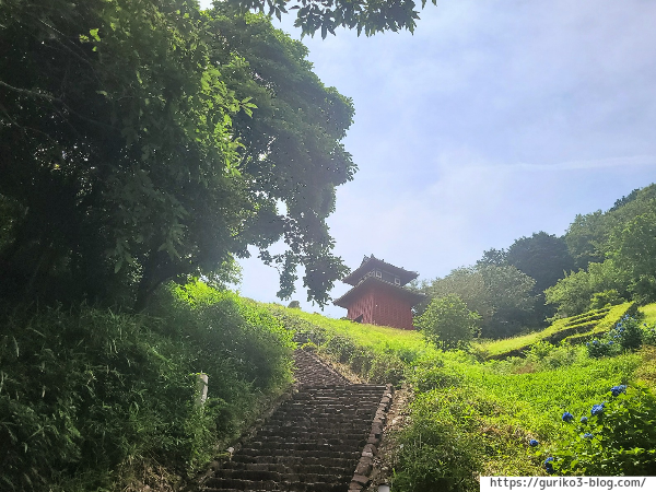 岐阜県海津市　月見の森　紫陽花