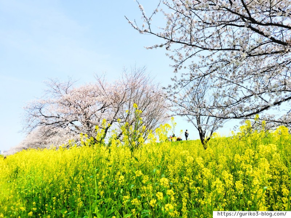 岐阜県　羽島市　桜堤サブセンター
