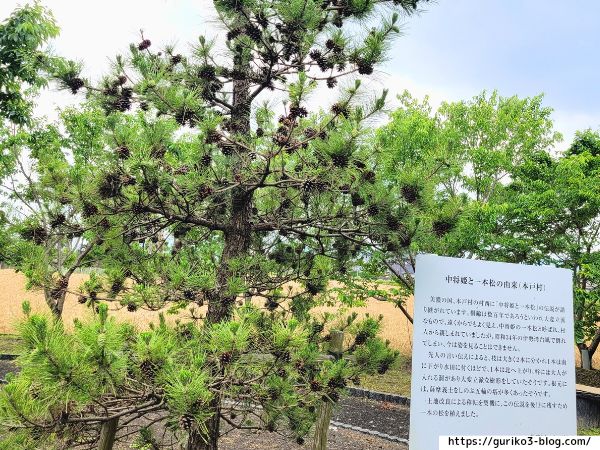 輪之内町 中将姫公園