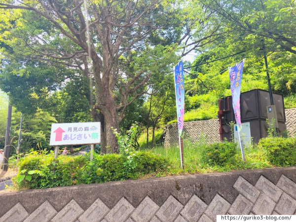 岐阜県海津市　月見の森　紫陽花