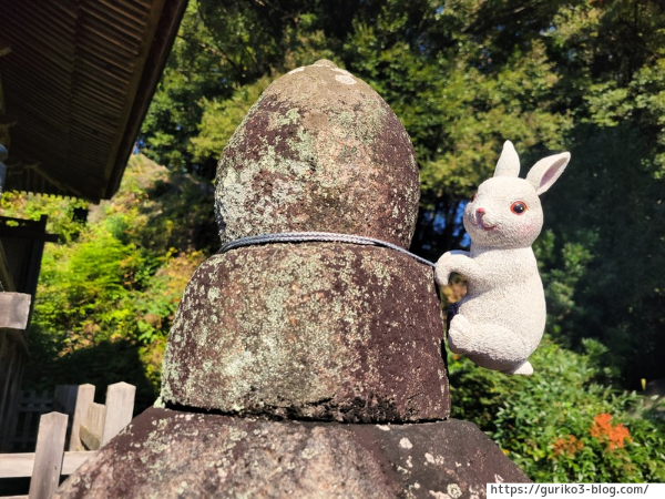 岐阜 揖斐川町 三輪神社 写真