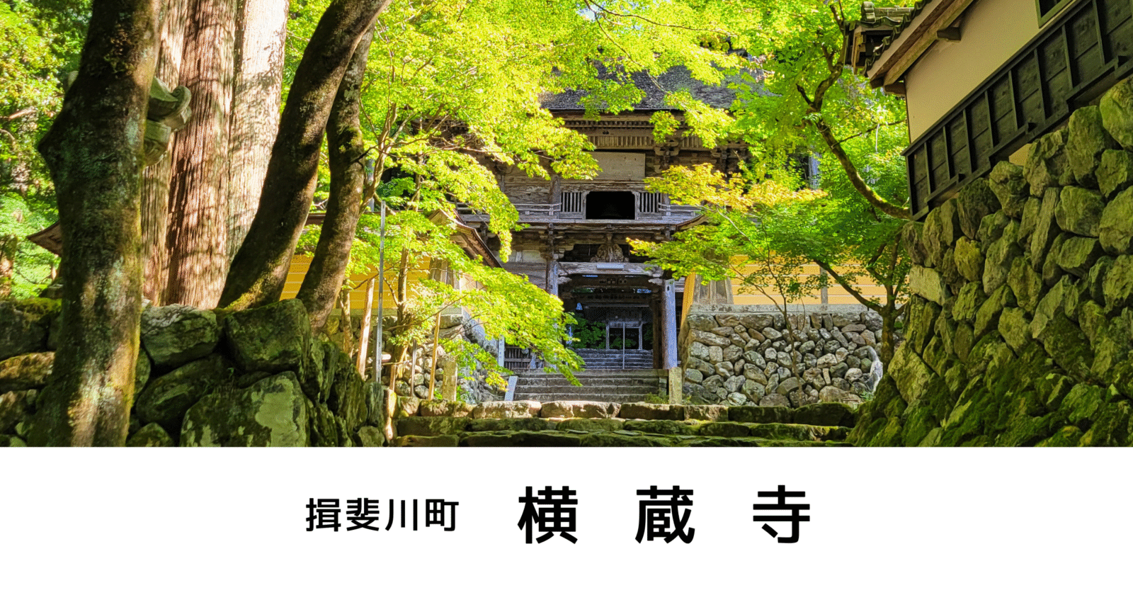 横蔵寺（揖斐川町）もみじ寺で楽しむ紅葉！「もみじまつり2025」開催【撮影スポット】