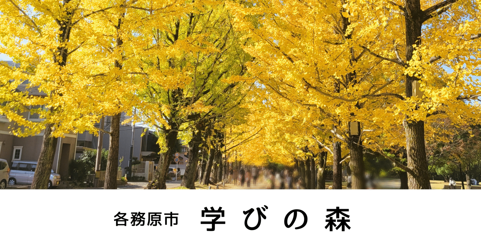 学びの森（各務原）美しいイチョウ並木の紅葉に癒やされて【撮影スポット】