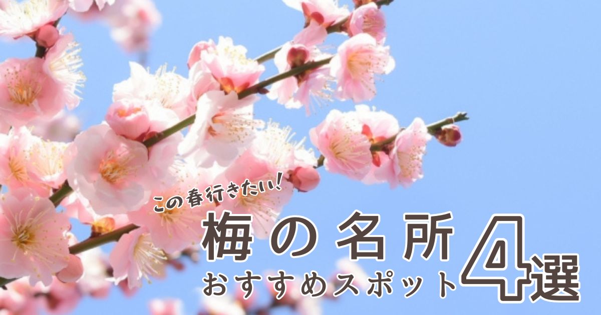 【2024年最新】春を先取り！岐阜で楽しめる梅の名所おすすめ4選！