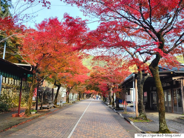 岐阜県 揖斐川町 谷汲山華厳寺