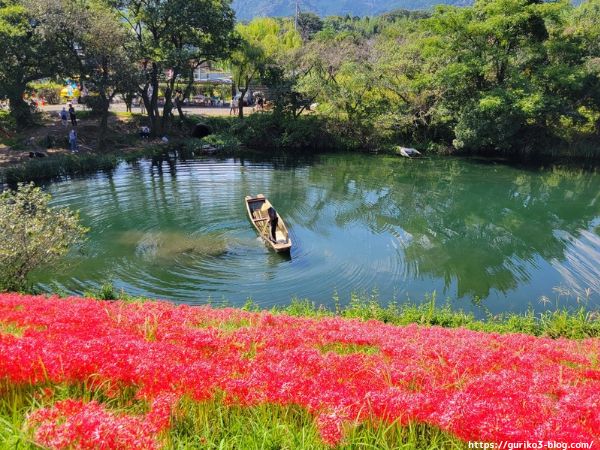 岐阜県海津市　津屋川堤防の彼岸花