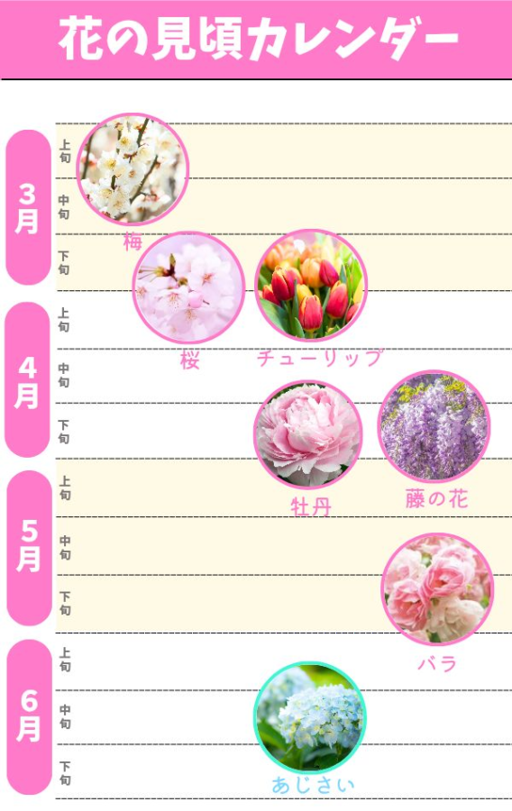 花の見頃カレンダー