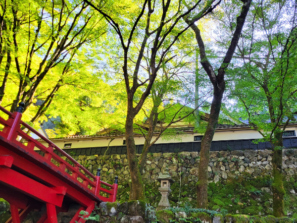 岐阜県揖斐川町　横蔵寺　紅葉