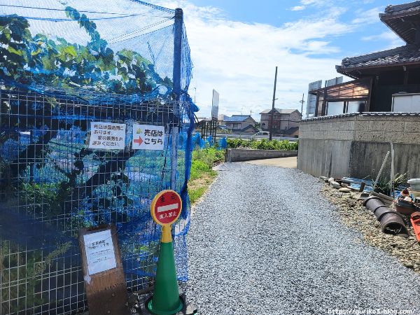 岐阜市　江崎ぶどう園 駐車場