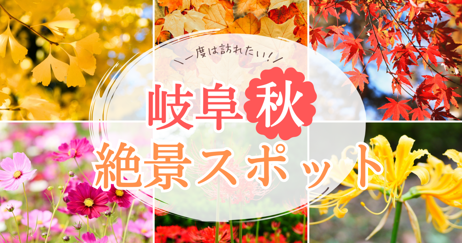秋のお出かけにおすすめ！写真映えする岐阜の絶景スポット・花の名所特集！