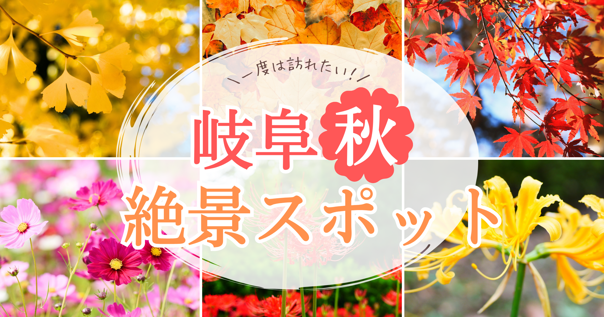 秋のお出かけにおすすめ！写真映えする岐阜の絶景スポット・花の名所特集！