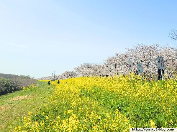 岐阜県　羽島市　桜堤サブセンター
