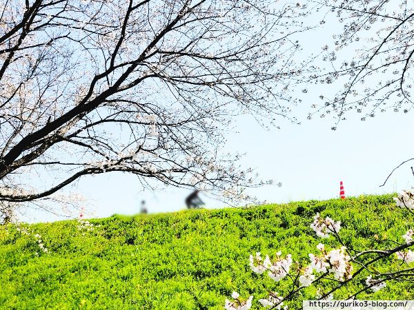 岐阜県　羽島市　桜堤サブセンター