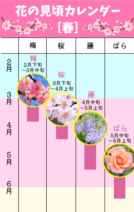 春の花の見頃カレンダー