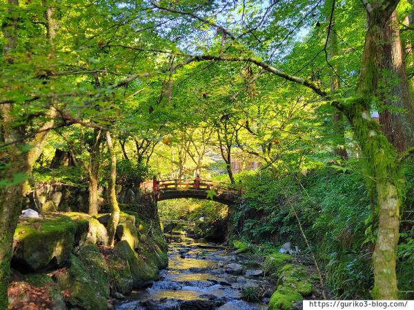 岐阜県揖斐川町　横蔵寺　紅葉