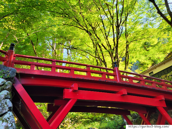 岐阜県揖斐川町　横蔵寺　紅葉