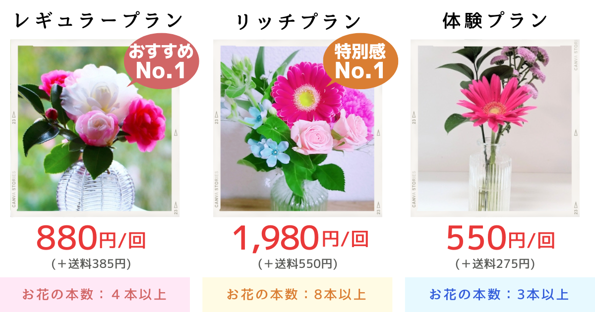 ブルーミーのプラン料金